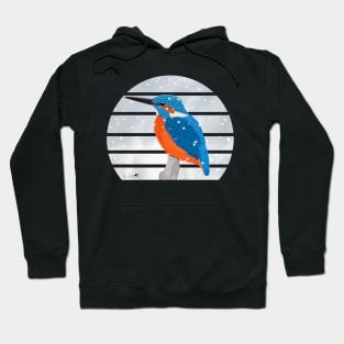 Kingfisher Winter Snow Bird Watching Birding Ornithologist Gift Hoodie